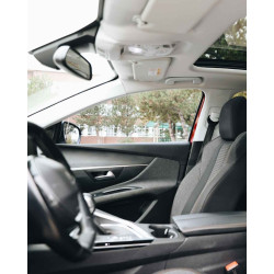 Interior Cleaner : Car interior cleaning spray