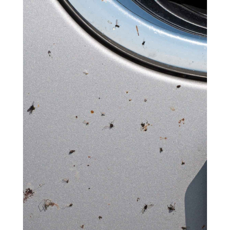 Insect Remover : Spray éliminateur insectes pour voiture