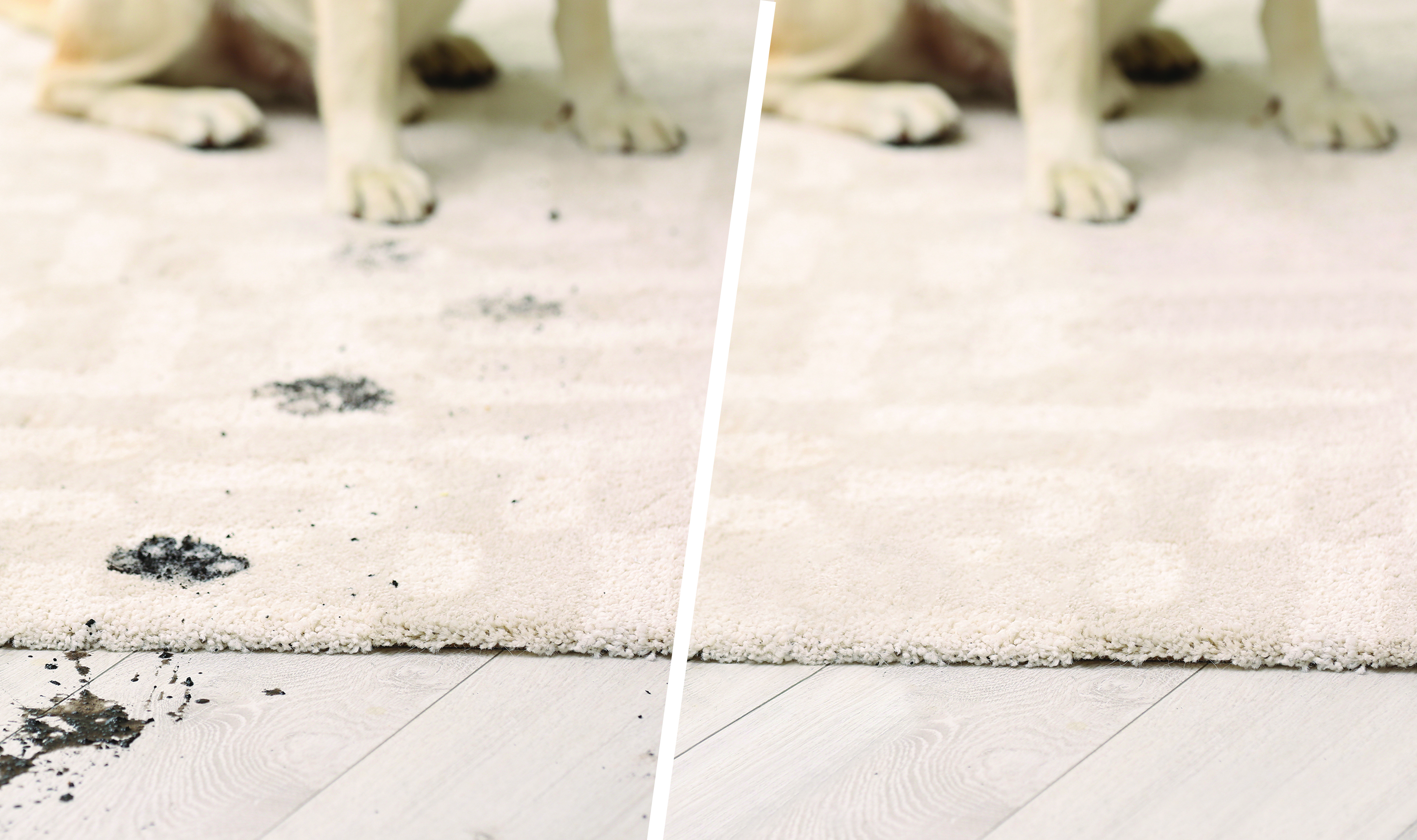 Carpet_Before_After.jpg